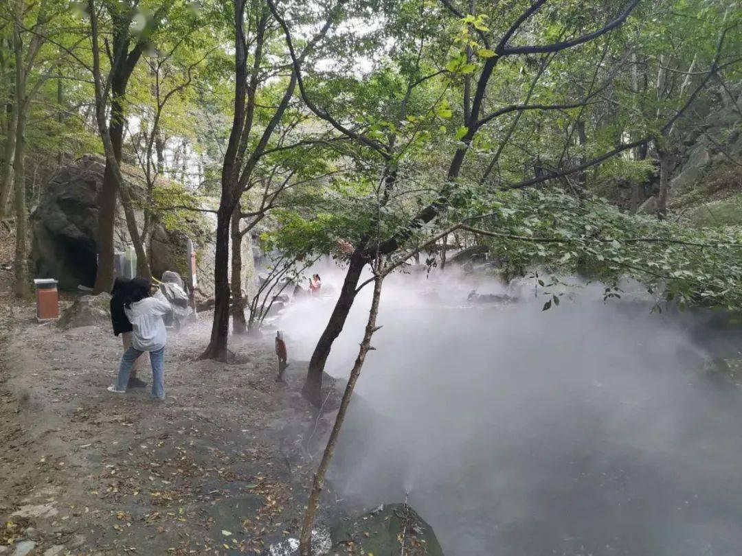 汶川地震中，22岁美女沙鸥被大叔救起，后来以身相许，过得好吗？