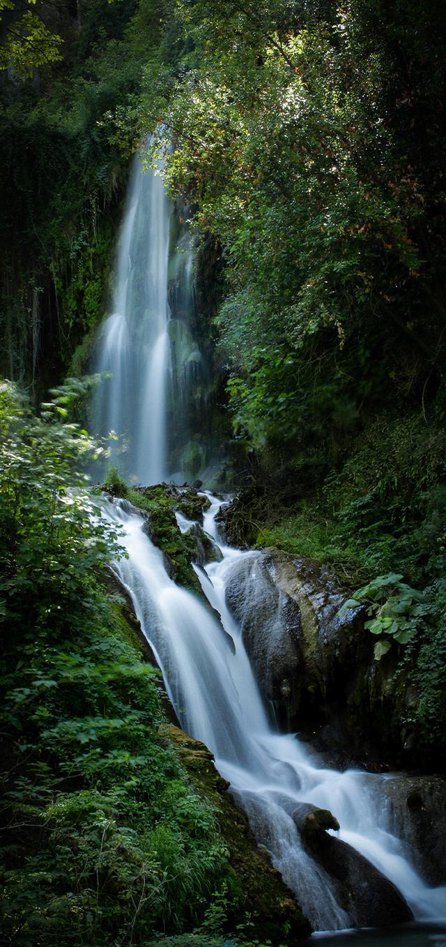 逃离粉红岛