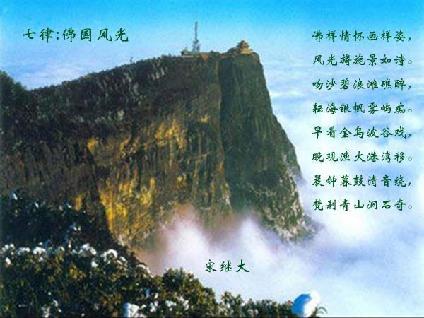孤独的流浪者救援